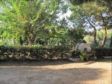 Villa Indipendente in affitto a Belloro - Giardino