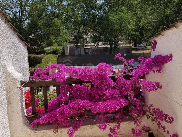 Villa a Schiera in in affitto da privato a San Felice Circeo viale Regina Elena, 7, giardino, da privato, lungomare TrovaCasa