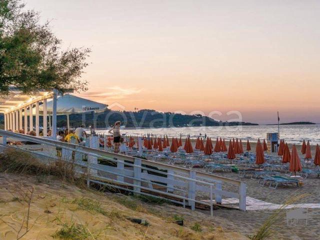 Villa a Schiera in in affitto da privato a Vieste località Piano Piccolo, da privato, aria condizionata, piscina TrovaCasa