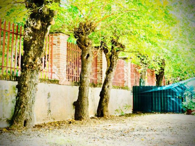 Villa a schiera in vendita a Cuneo via del Bosco, 111, Roata Rossi Passatore