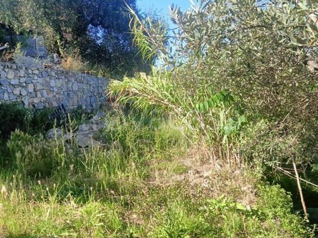 Villa a schiera in vendita a Genova via delle Banchelle, Molassana