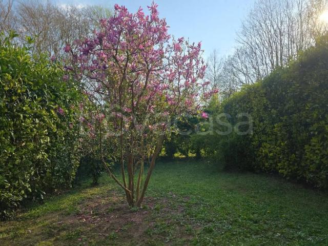 Villa a schiera in vendita a Padova via Antoniotto Usodimare, Montà Sant'Ignazio