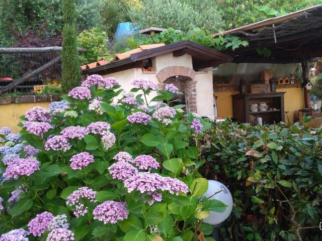 Villa a schiera in vendita a Pietrasanta