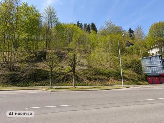 Villa Albstadt Albstadt 105447430