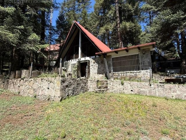 Villa Alpina Hermosa Casa En La Naturaleza En Fraccionamiento Residencial