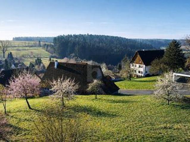 Villa Alpirsbach Alpirsbach LS105878992