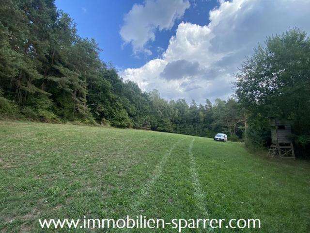 Villa Ammerthal Ammerthal LS105446110