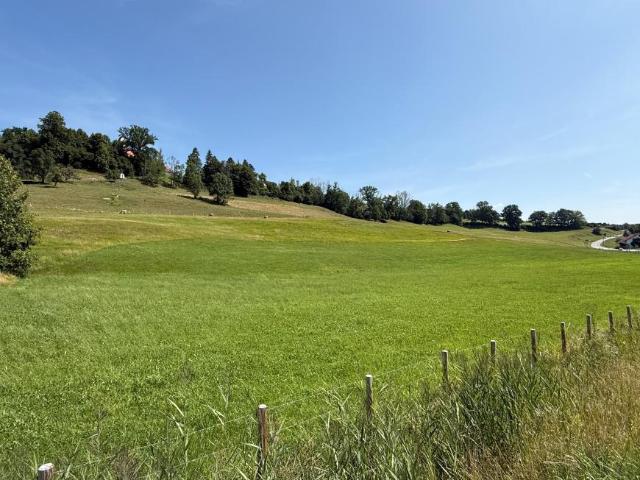 Villa Argenbühl Argenbühl 105644101