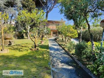 Lavinio Lido di Enea, Latina Lazio - Giardino