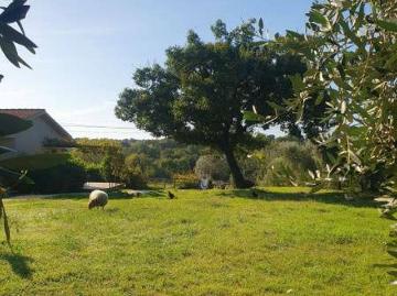 Villa arredata con piscina Scansano