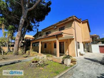 Viale Stella Marina, Lavinio Lido di Enea, Latina Lazio