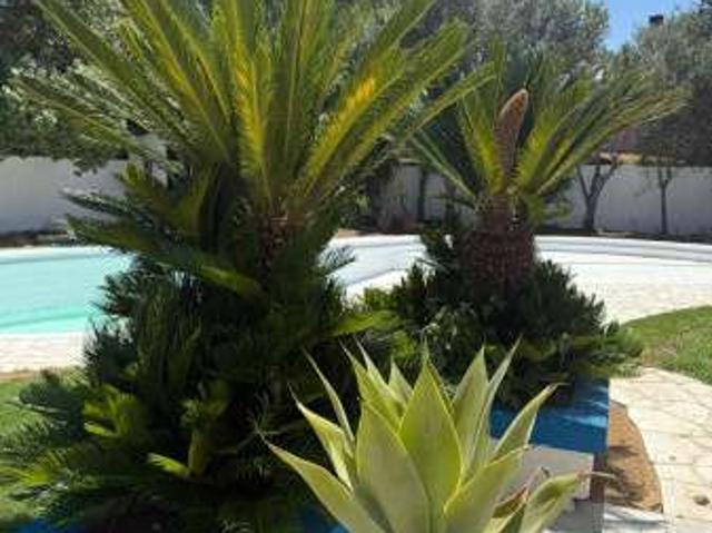 Villa arredata con terrazzo Foxi, sant'andrea