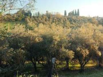 Villa arredata con terrazzo LAstrA A Signa