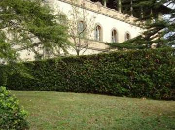Villa arredata Fiesole