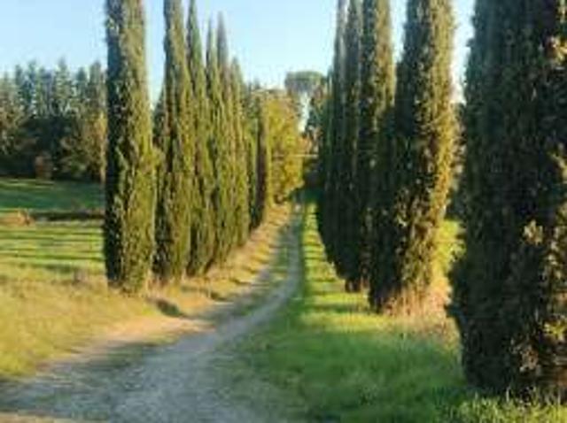 Villa arredata LAstrA A Signa