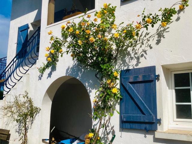 Villa avec piscine chauffée, 9 pieces sur 6575m2 de terrain. 260m² Cambo les Bains