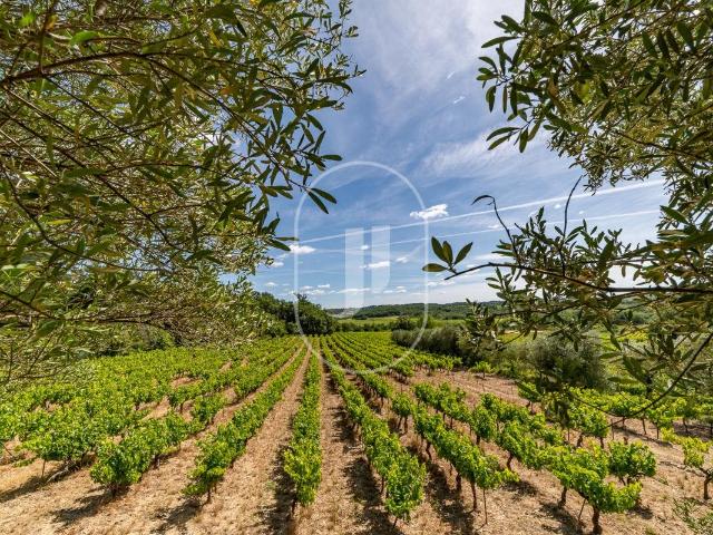 Villa avec piscine et jardin arboré de 300 m² à vendre à pro. 124m² Cruviers Lascours