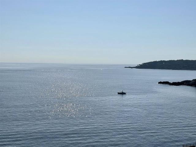 Villa avec splendide vue mer, Cap d'Antibes 215m² Antibes