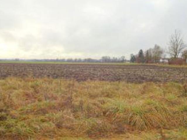 Villa Baar Baar 105451407