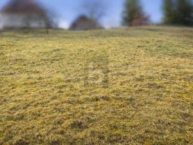 Villa Baiersbronn Baiersbronn 105878988