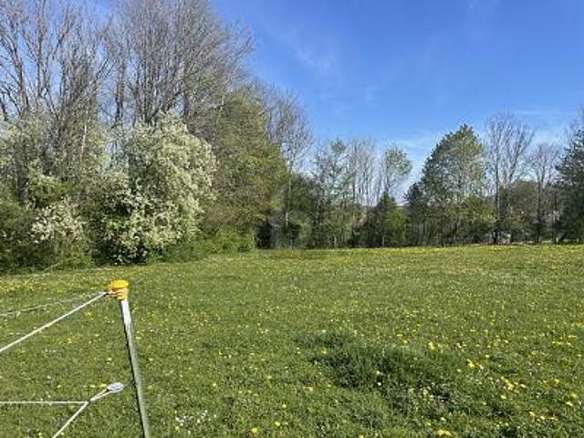 Villa Berg Berg 105805171