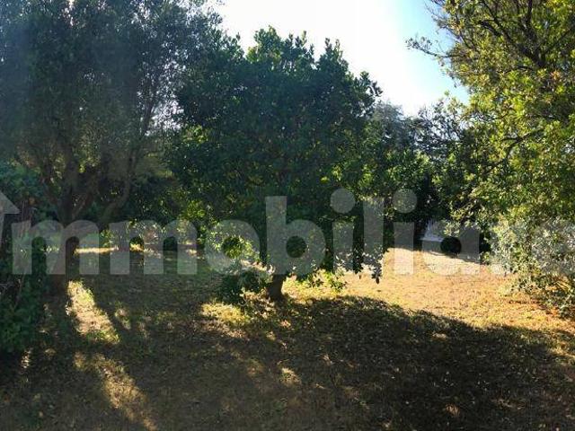 Villa bifamiliare via Poggio Catino 15, Cioccati, Zucchetti, Nettuno
