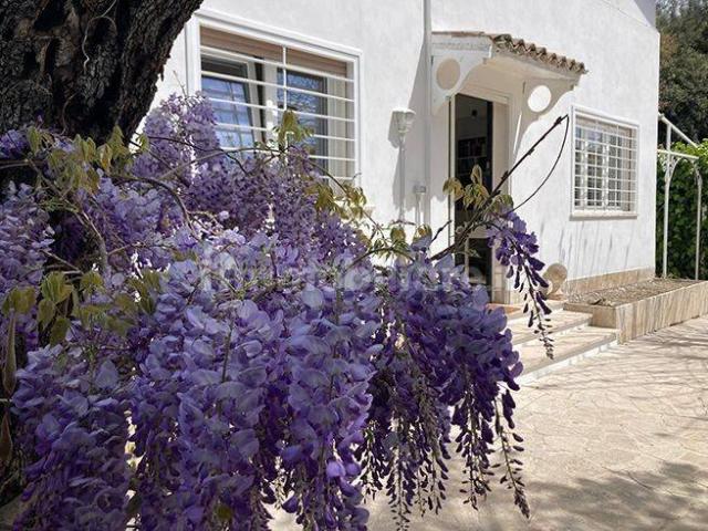 Villa bifamiliare via Riccione 32/a, Fregene, Fiumicino