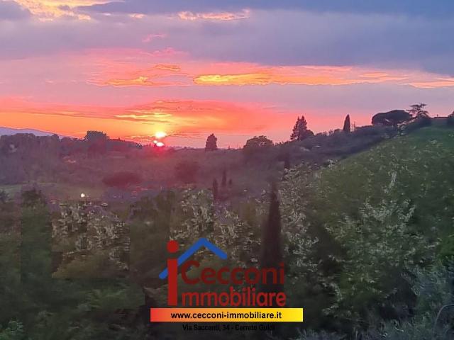 Villa Bifamiliare con giardino, Cerreto Guidi gavena