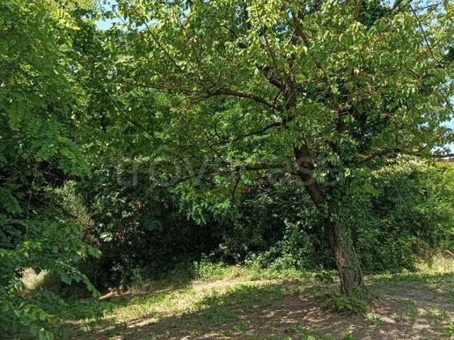 Villa bifamiliare in vendita a Cossombrato via alle Scuole, 2