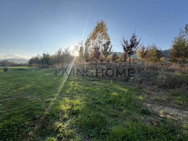 Villa bifamiliare in vendita a Cesena