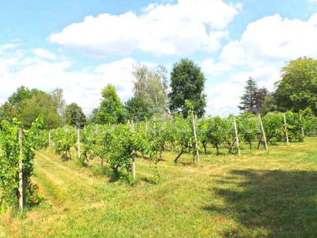 Villa bifamiliare in vendita a Majano via Divisione Julia