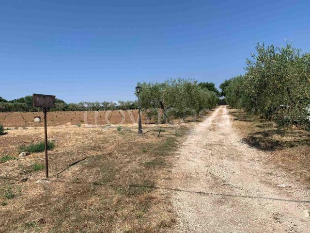 Villa bifamiliare in vendita a Soriano nel Cimino strada della Caprola, 130