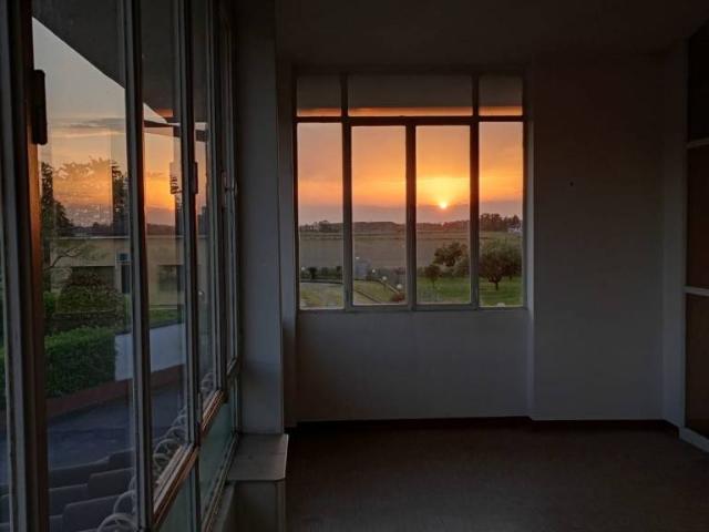 Villa bifamiliare in vendita a Sartirana Lomellina via Raitè, 59