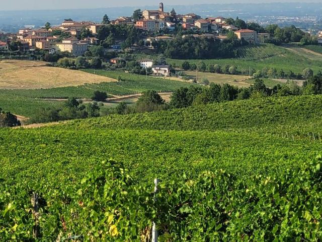 Villa bifamiliare in vendita a Ziano Piacentino