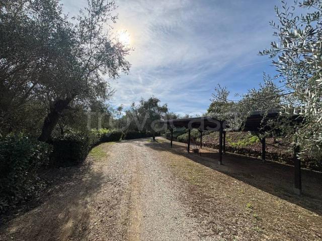 Villa Bifamiliare in affitto a Impruneta via Imprunetana per Tavarnuzze, 33, giardino privato, posto auto, terrazzo TrovaCasa