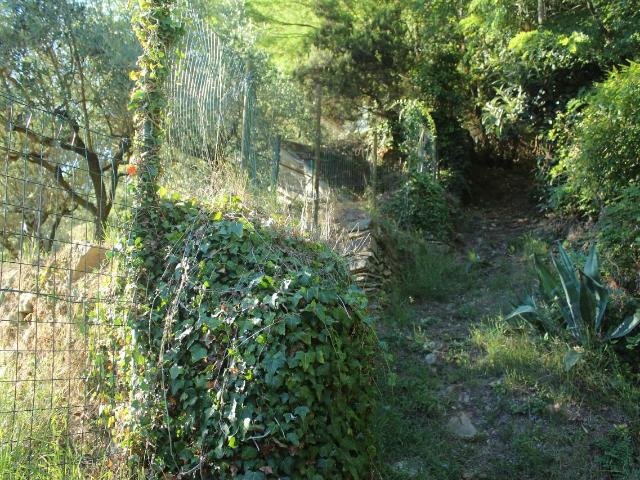 Villa bifamiliare in affitto a Montignoso