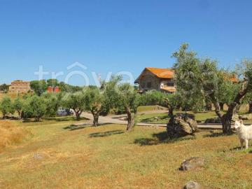 Villa bifamiliare in affitto a Settevene, Nepi
