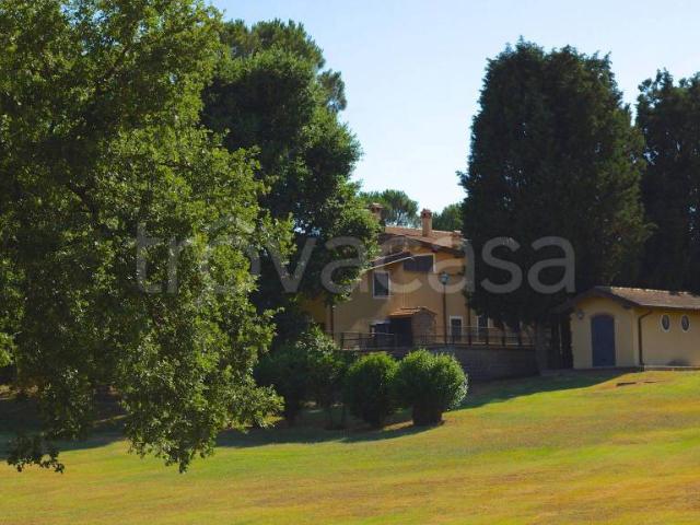 Villa bifamiliare in affitto a Settevene, Nepi