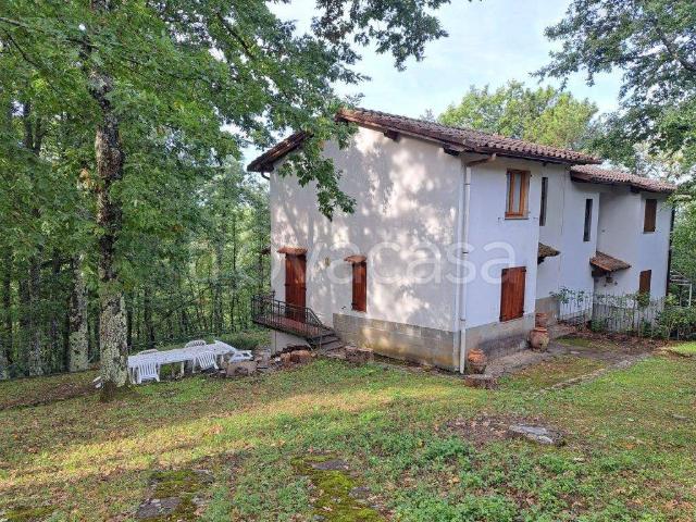 Villa Bifamiliare in affitto a Pelago, arredato, giardino privato, caminetto TrovaCasa