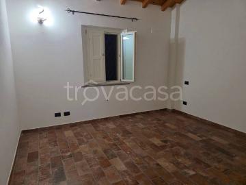 L D, Massa-Carrara, Liguria - Giardino