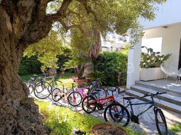 Villa Bifamiliare in affitto ad Anzio, arredato, giardino privato, box TrovaCasa