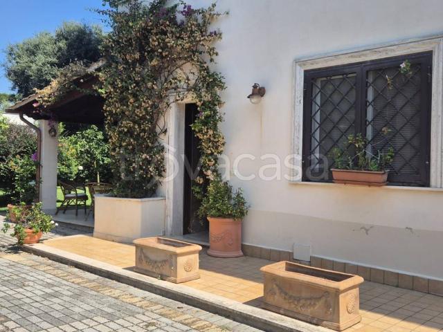 Villa Bifamiliare in affitto ad Anzio viale delle Viole, 77, arredato, giardino privato, riscaldamento autonomo TrovaCasa