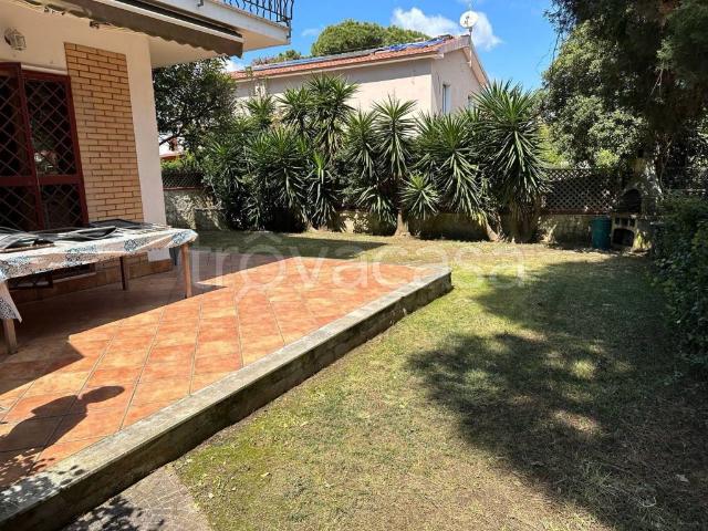 Villa Bifamiliare in in affitto da privato a Terracina strada Provinciale Badino Vecchia, giardino, terrazzo, da privato TrovaCasa