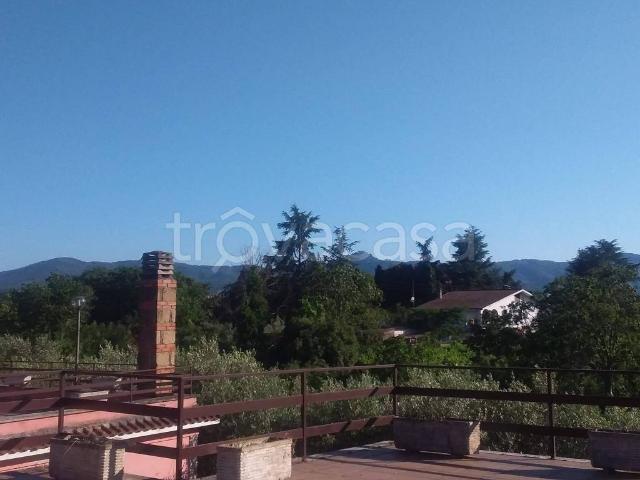 Villa Bifamiliare in in affitto da privato a Zagarolo via Santa Apollaria, 71f, da privato, piscina TrovaCasa