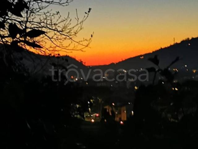 Villa Bifamiliare in in affitto da privato a Camaiore via Verdina, 90 a, da privato, centrale, luminoso TrovaCasa