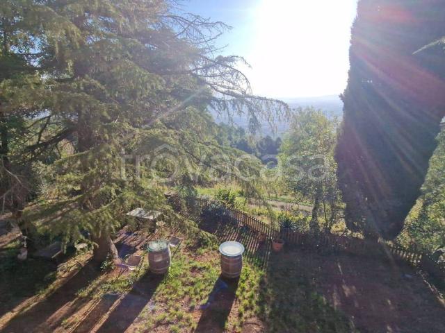 Villa Bifamiliare in in affitto da privato a Chianni via di Monte, 222, arredato, giardino privato, posto auto TrovaCasa