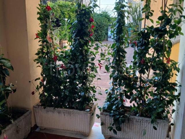 Villa Bifamiliare in in affitto da privato a Fiumefreddo Bruzio via delle Allodole Traversa 7, 13, giardino privato, da privato, aria condizionata TrovaCasa
