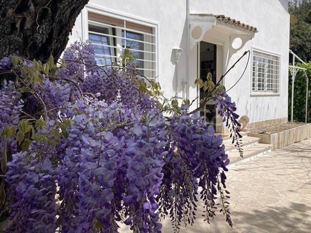 Villa Bifamiliare in in affitto da privato a Fiumicino via Riccione, 32/a, giardino, da privato, riscaldamento autonomo TrovaCasa