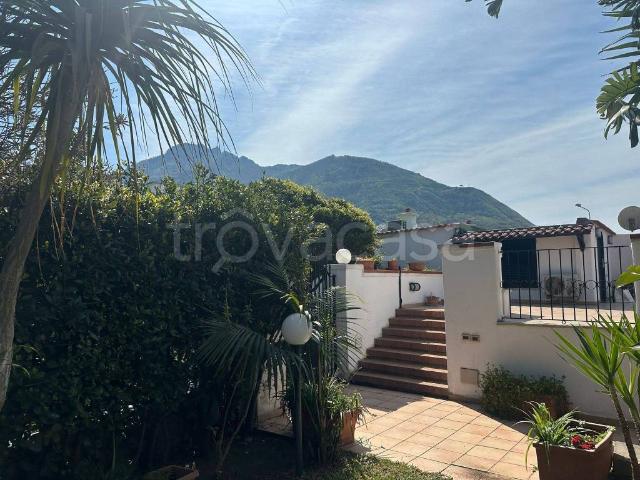 Villa Bifamiliare in in affitto da privato a Forio strada Provinciale Forio, 184, giardino privato, posto auto, da privato TrovaCasa