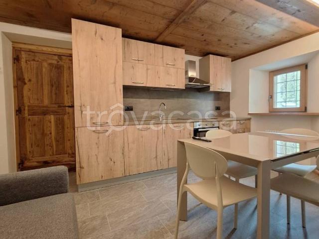 Villa Bifamiliare in in affitto da privato a Gressoney Saint Jean località Trino, 4, da privato, travi a vista, lavatrice TrovaCasa